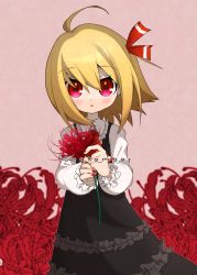 Rule 34 | 1girl, adapted costume, black dress, blonde hair, blush, dress, flower, frilled dress, frills, hair ribbon, highres, holding, holding flower, long sleeves, looking at viewer, medium hair, mei mu, nail polish, red eyes, red nails, red ribbon, ribbon, rumia, september, shirt, solo, spider lily, touhou, upper body, white shirt