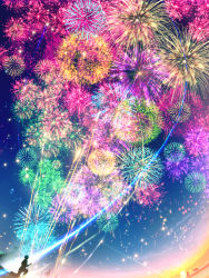 Rule 34 | absurdres, bouquet, cat, city, city below, city lights, colorful, dog, explosion, fireworks, flower, highres, light, makoron117117, multicolored background, night, night sky, original, outdoors, scenery, sky, solo, summer, sunset