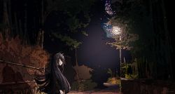 Rule 34 | 1girl, absurdres, animal ears, black hair, black jacket, ci4, commentary request, highres, horse ears, jacket, lamppost, ligne claire, long hair, long sleeves, looking at viewer, looking back, manhattan cafe (umamusume), moon, night, outdoors, signature, solo, tree, umamusume, yellow eyes
