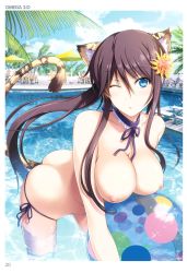 Rule 34 | 1girl, absurdres, animal ears, ball, bikini, black hair, blue eyes, blush, breasts, cat ears, cat girl, cat tail, chair, day, female focus, flower, hair flower, hair ornament, highres, large breasts, leaning forward, long hair, looking at viewer, nipples, omega 2-d, one eye closed, open mouth, ponytail, pool, side-tie bikini bottom, sidelocks, sky, smile, solo, swimsuit, tail, tiger ears, tiger tail, topfreedom, topless, toranoana