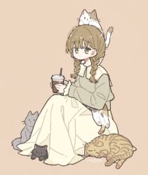 Rule 34 | 1girl, animal, animal on head, artist name, black cat, braid, brown background, brown cat, brown hair, cat, cat on head, commentary request, dot mouth, drink, expressionless, full body, green eyes, grey cat, grey shirt, holding, holding drink, long hair, long skirt, long sleeves, looking at viewer, multiple cats, necono naco, no nose, on head, original, shirt, side braids, signature, simple background, sitting, skirt, solo, twin braids, white cat, yellow skirt