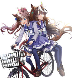 Rule 34 | 2girls, :d, animal ears, bicycle, blue eyes, bow, bowtie, brown footwear, brown hair, commentary, ear piercing, frilled skirt, frills, greyscale, high ponytail, highres, horse ears, horse girl, horse tail, horseshoe ornament, k11iii, loafers, long hair, long sleeves, monochrome, multicolored hair, multiple girls, open mouth, piercing, pleated skirt, purple eyes, purple serafuku, purple shirt, purple skirt, purple thighhighs, riding, riding bicycle, sailor collar, sailor shirt, school uniform, serafuku, shirt, shoes, simple background, skirt, smile, streaked hair, symboli rudolf (umamusume), tail, thighhighs, tokai teio (umamusume), tracen school uniform, two-tone hair, umamusume, white background, white bow, white bowtie, white hair