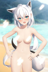 Rule 34 | 1girl, ahoge, animal ears, beach, blurry, blurry background, blush, braid, breasts, commentary request, convenient censoring, cowboy shot, day, earrings, extra ears, fox ears, fox girl, fox tail, green eyes, hair between eyes, hands on own hips, highres, hololive, jewelry, light censor, long hair, looking at viewer, navel, nude, ocean, open mouth, outdoors, paid reward available, pentagram, shirai yu, shirakami fubuki, sidelocks, single braid, small breasts, solo, tail, virtual youtuber, white hair