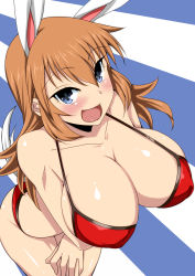 Rule 34 | 1girl, animal ears, bare shoulders, bikini, blush, breasts, brown hair, charlotte e. yeager, cleavage, highres, huge breasts, komusou (jinrikisha), long hair, open mouth, rabbit ears, rabbit girl, red bikini, solo, strike witches, swimsuit, world witches series