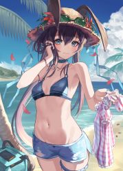 Rule 34 | 1girl, 3:, absurdres, amiya (arknights), arknights, armpits, bare arms, bare shoulders, beach, bikini, bikini top only, black hair, blue bikini, blue choker, blue eyes, blue shorts, blue sky, blush, breasts, choker, closed mouth, cloud, collarbone, cowboy shot, day, dolphin shorts, ears through headwear, embarrassed, eyewear on head, eyewear on headwear, female focus, flower, groin, hair between eyes, hand up, hat, hat flower, highres, holding, long hair, looking at viewer, navel, ocean, outdoors, palm tree, petals, rabbit girl, roco (rocoroco1115), sand, shirt, shorts, sky, small breasts, solo, standing, stomach, straw hat, string bikini, sunglasses, swimsuit, thigh strap, thighs, torn clothes, torn shorts, tree, very long hair