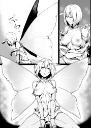 Rule 34 | 1boy, 1girl, antennae, arthropod girl, breasts, closed mouth, greyscale, highres, indoors, insect girl, insect wings, japanese clothes, kimono, large breasts, looking at viewer, medium hair, monochrome, monster girl, moth antennae, moth girl, moth wings, nakamura regura, obi, original, parted lips, sash, spread wings, undressing, wings