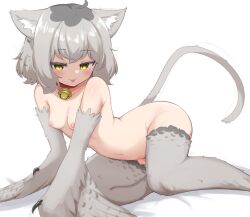 Rule 34 | 1girl, ahoge, alternate species, animal ears, bell, bird legs, blush, breasts, cat day, cat ears, cat girl, cat tail, claws, collar, date pun, feathered wings, grey feathers, grey hair, grey wings, harpy, looking at viewer, medium hair, mono (sifserf), monster girl, multicolored hair, navel, neck bell, nipples, nude, number pun, original, red collar, sifserf, slit pupils, small breasts, solo, tail, tongue, tongue out, two-tone hair, white background, winged arms, wings, yellow eyes