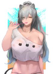 Rule 34 | 1girl, absurdres, animal ears, arknights, brushing teeth, cat ears, cat tail, commentary request, crop top, crop top overhang, grey hair, hand up, highres, holding, holding toothbrush, long hair, looking at viewer, midriff, navel, off-shoulder shirt, off shoulder, ponytail, schwarz (arknights), shirt, short sleeves, single bare shoulder, solo, stomach, tail, toothbrush, upper body, very long hair, white shirt, yellow eyes, yujieai