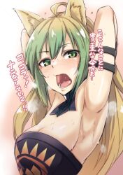 Rule 34 | 1girl, ahoge, animal ears, arm belt, armpits, arms up, atalanta (fate), black dress, blonde hair, blush, breasts, dress, fate/apocrypha, fate (series), gradient hair, green eyes, green hair, hiruno, long hair, looking at viewer, medium breasts, multicolored hair, open mouth, presenting armpit, sidelocks, simple background, solo, steam, strapless, strapless dress, sweat, translation request