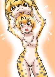 Rule 34 | 10s, 1girl, animal ears, aozame takao, blonde hair, blush, bodysuit, cosplay, cowboy shot, holding, holding mask, kemono friends, kigurumi, looking at viewer, mask, unworn mask, open mouth, serval (kemono friends), skin tight, solo, yellow eyes