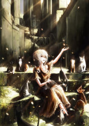 Rule 34 | 1girl, animal, animal on lap, animal on shoulder, architecture, arm up, cat, cat on lap, cat on shoulder, dress, grass, highres, light rays, on lap, open mouth, original, outstretched arm, petals, ruins, shoes, short hair, sitting, solo, stairs, stu dts, sunbeam, sunlight, too many, too many cats, white hair