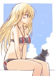 Rule 34 | 10s, 1girl, adapted costume, alternate costume, bare shoulders, bikini, bismarck (kancolle), blonde hair, blue eyes, blush, breasts, cat, cleavage, day, from side, highres, kantai collection, long hair, ohta yuichi, outdoors, profile, sitting, smile, solo, swimsuit, underboob, unsinkable sam