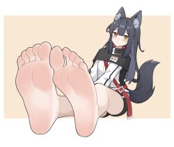 Rule 34 | 1girl, animal ear fluff, animal ears, arknights, bare legs, barefoot, black hair, feet, foot focus, highres, long hair, looking at viewer, simple background, soles, solo, tail, texas (arknights), toes, wl217 (nicexa111), wolf ears, wolf girl, wolf tail, yellow eyes
