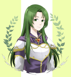 Rule 34 | 1girl, absurdres, armor, breastplate, cecilia (fire emblem), closed mouth, collar, commentary request, curtained hair, fire emblem, fire emblem: the binding blade, gold trim, green background, green eyes, green hair, highres, long hair, midori no baku, nintendo, shoulder armor, smile, solo, two-tone background, upper body, white background
