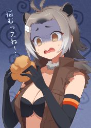 Rule 34 | 1girl, @ @, american beaver (kemono friends), animal ears, antenna hair, bare shoulders, beaver ears, black hair, bra, breasts, brown eyes, cleavage, collarbone, commentary request, cream puff, detached collar, elbow gloves, extra ears, food, fur collar, furrowed brow, gloom (expression), gloves, gradient hair, grey hair, hair ornament, hairclip, highres, holding, jacket, kamuraaa 615, kemono friends, large breasts, long hair, looking at object, multicolored hair, open clothes, open jacket, open mouth, sidelocks, solo, stomach, sweat, torn clothes, torn sleeves, translation request, turn pale, underboob, underwear, upper body