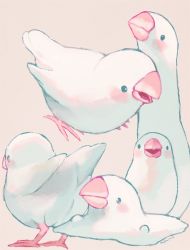 Rule 34 | animal focus, bird, black eyes, blush, commentary request, grey background, highres, looking at viewer, manino (mofuritaionaka), no humans, original, signature, simple background, smile