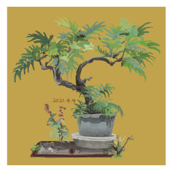 Rule 34 | bonsai, border, commentary request, dated, highres, katakai, no humans, original, plant, potted plant, white border, yellow background