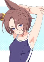 Rule 34 | 1girl, animal ears, armpits, arms behind back, arms up, asymmetrical bangs, blue eyes, blush, breasts, brown hair, frown, furrowed brow, highres, horse ears, kamuraaa 615, looking at viewer, narita taishin (umamusume), one-piece swimsuit, open mouth, school swimsuit, short hair, small breasts, solo, stretching, swimsuit, tracen swimsuit, umamusume, upper body