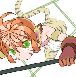 Rule 34 | 1girl, animal ears, bandaged leg, bandages, body fur, breath of fire, breath of fire ii, facial mark, fingerless gloves, gloves, hair between eyes, holding, holding staff, lowres, orange hair, rinpoo chuan, short hair, sicky (pit-bull), solo, staff, tail, tiger ears, tiger girl, tiger tail, whisker markings