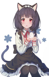 Rule 34 | 1girl, animal, animal ears, apron, black hair, black thighhighs, blush, buttons, cat ears, cat tail, collared shirt, fake animal ears, granblue fantasy, hairband, highres, holding, holding animal, invisible chair, jiman, long sleeves, looking at viewer, medium hair, mouse (animal), neck ribbon, open mouth, pleated skirt, red eyes, red ribbon, ribbon, shirt, sitting, skirt, solo, tail, thighhighs, vikala (granblue fantasy), waist apron, wavy mouth, white shirt