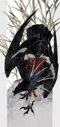 animal animal_focus beak bird from_above full_body grass highres no_humans original piyomotsu rope shimenawa solo talons watermark wings