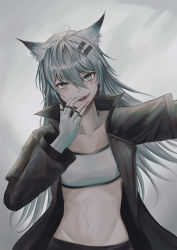 Rule 34 | 1girl, :d, absurdres, animal ears, arknights, bandeau, black jacket, commentary, fingerless gloves, gloves, grey background, grey eyes, groin, hair ornament, hairclip, highres, jacket, kuro beyan, lappland (arknights), long hair, long sleeves, looking at viewer, midriff, navel, open clothes, open jacket, open mouth, scar, scar across eye, scar on face, silver hair, smile, solo, stomach, strapless, tube top, upper body, white gloves, wolf ears