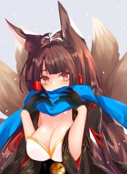 Rule 34 | 1girl, akagi (azur lane), animal ears, azur lane, black gloves, black kimono, blue scarf, blunt bangs, breasts, brown hair, cleavage, fox ears, fox tail, gloves, grey background, highres, japanese clothes, kimono, large breasts, long hair, looking at viewer, multiple tails, pink eyes, putimaxi, sash, scarf, simple background, solo, tail, tsurime, twitter username, upper body, very long hair