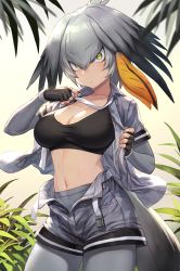 Rule 34 | 10s, 1girl, ahoge, belt, black bra, black gloves, black hair, bra, breasts, camouflage, camouflage shirt, camouflage shorts, cleavage, closed mouth, collared shirt, commentary request, contrapposto, cowboy shot, day, detached sleeves, fingerless gloves, gloves, green eyes, grey hair, grey necktie, grey pantyhose, grey shirt, grey shorts, guchico, hair between eyes, hairband, hands up, head wings, highres, kemono friends, layered sleeves, long hair, long sleeves, looking at viewer, low ponytail, medium breasts, multicolored hair, navel, necktie, necktie grab, neckwear grab, open belt, open clothes, open fly, open shirt, open shorts, orange hair, pantyhose, shirt, shoebill (kemono friends), short over long sleeves, short sleeves, shorts, side ponytail, solo, sports bra, standing, stomach, sweat, sweatdrop, unbuckled, underwear, undone necktie, undressing, unzipped, wide-eyed, wings