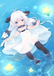 Rule 34 | 1girl, :&lt;, afloat, animal ears, animal hands, blue eyes, bow, collar, commentary request, dog ears, dog girl, dog paws, dog tail, dress, expressionless, flat chest, full body, fur, hair bow, konachiu, long hair, original, partially submerged, rei-chan (konachiu), silver hair, sleeveless, sleeveless dress, star (symbol), sundress, tail, water, white dress