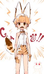Rule 34 | 1girl, absurdres, adapted costume, animal ear fluff, animal ears, breasts, character request, earrings, fangs, gloves, highres, jewelry, kemono friends, looking at viewer, notora, open mouth, orange hair, redesign, shirt tucked in, short hair, short shorts, shorts, small breasts, solo, tail, v-shaped eyebrows