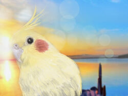 Rule 34 | animal focus, beak, bird, black eyes, blue sky, blurry, blurry background, cockatiel, commentary, feathers, gradient sky, highres, lens flare, looking at viewer, no humans, ocean, orange sky, original, parrot, realistic, shiropooo, sky, sunset, upper body, yellow feathers