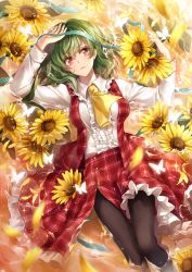 Rule 34 | 1girl, afloat, ascot, black pantyhose, breasts, bug, butterfly, flower, green hair, hagiwara rin, insect, kazami yuuka, pantyhose, plaid, plaid skirt, plaid vest, red eyes, ribbon, short hair, skirt, solo, sunflower, touhou, vest