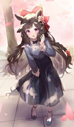 Rule 34 | absurdres, animal ears, black dress, black footwear, blurry, blurry background, blush, bow, braid, brown hair, cherry blossoms, commentary, daiichi ruby (umamusume), dress, flower, full body, hair bow, hair flower, hair ornament, hand on own cheek, hand on own face, hand up, highres, holding, holding clothes, holding skirt, horse ears, horse girl, horse tail, long hair, long sleeves, looking at viewer, open mouth, outdoors, parted bangs, pink flower, pink rose, purple eyes, red bow, rose, side braid, sidelocks, skirt, tail, tree, umamusume, very long hair, white flower, white rose, yamada auto