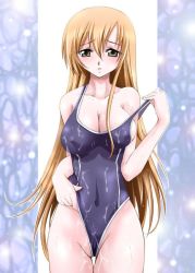 Rule 34 | 00s, artist request, blush, breasts, brown eyes, brown hair, cleavage, code geass, large breasts, long hair, one-piece swimsuit, shirley fenette, swimsuit, undressing, very long hair, wet