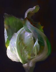 Rule 34 | absurdres, black background, cabbage, chiaroscuro, faux traditional media, food, food focus, highres, leaf, no humans, original, realistic, simple background, still life, vegetable, veins, yuming li
