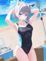 Rule 34 | 1girl, animal ear fluff, animal ears, armpits, arms up, beach, black one-piece swimsuit, blue archive, blue eyes, blush, breasts, collarbone, competition swimsuit, covered navel, cross hair ornament, day, extra ears, grey hair, hair ornament, halo, highleg, highleg swimsuit, highres, looking at viewer, medium breasts, medium hair, mouth hold, multicolored clothes, multicolored swimsuit, norio (noriosub), ocean, official alternate costume, one-piece swimsuit, outdoors, sand, school swimsuit, see-through, shiroko (blue archive), shiroko (swimsuit) (blue archive), solo, swimsuit, two-tone swimsuit, wet, wet clothes, wolf ears