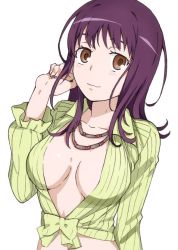 Rule 34 | 1girl, arm at side, artist request, blush, breasts, breasts apart, brown eyes, cleavage, clenched hand, closed mouth, collarbone, collared shirt, green shirt, hand up, itsuwa, jewelry, large breasts, long sleeves, looking at viewer, medium breasts, midriff, neck, necklace, no bra, open clothes, open shirt, purple hair, shirt, short hair, simple background, solo, striped clothes, striped shirt, tied shirt, toaru majutsu no index, upper body, white background