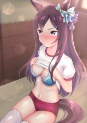 Rule 34 | alternate costume, animal ears, black hair, blurry, blurry background, bra, breasts, buruma, cleavage, closed mouth, clothes lift, commentary request, embarrassed, hair ornament, hairclip, horse ears, horse tail, lifting own clothes, medium breasts, mejiro dober (umamusume), naruruka0805, navel, on ground, purple eyes, red buruma, shirt lift, sitting, tail, thighhighs, tracen training uniform, umamusume, underwear, white background, window, wooden floor