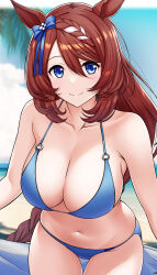 Rule 34 | 1girl, absurdres, animal ears, bare shoulders, beach, bikini, blue bikini, blue bow, blue eyes, blue sky, blurry, blurry background, bow, braid, braided ponytail, breasts, brown hair, cleavage, closed mouth, cloud, cloudy sky, collarbone, commentary request, cowboy shot, day, ear bow, gluteal fold, hair between eyes, highres, horse ears, horse girl, horse tail, large breasts, long hair, multicolored hair, o-ring, o-ring bikini, o-ring top, ocean, oryou gunsou, outdoors, palm leaf, palm tree, sand, sidelocks, single braid, sky, smile, solo, streaked hair, super creek (umamusume), swimsuit, tail, thigh gap, tree, umamusume, very long hair, water, white hair