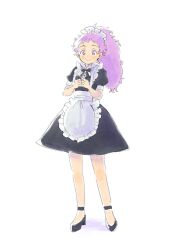 Rule 34 | 1girl, apron, arc s0222, arc the lad, arc the lad ii, closed mouth, dress, finia, full body, long hair, looking at viewer, maid, maid apron, maid headdress, simple background, smile, solo, white background