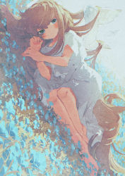 Rule 34 | 1girl, angel, angel wings, barefoot, blue eyes, blue flower, blush, brown hair, commentary request, dress, dutch angle, field, flower, flower field, full body, halo, highres, long hair, looking at viewer, lying, on ground, on side, original, potg (piotegu), short sleeves, signature, solo, white dress, wings