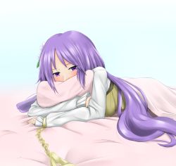 Rule 34 | 1girl, blush, chain, covered mouth, cuffs, flower, gnlo, hair flower, hair ornament, long hair, long sleeves, looking at viewer, lying, on stomach, puffy long sleeves, puffy sleeves, purple eyes, purple hair, shackles, solo, touhou, tsukumo benben, under covers