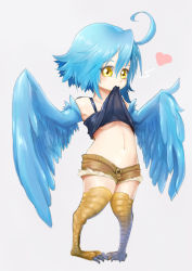 Rule 34 | 10s, 1girl, ahoge, blue hair, blue wings, breasts, feathered wings, full body, hap sunnyday, harpy, heart, monster girl, monster musume no iru nichijou, mouth hold, navel, papi (monster musume), short shorts, shorts, simple background, small breasts, solo, standing, talons, underboob, winged arms, wings, yellow eyes