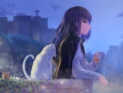 Rule 34 | 1girl, animal, animal ears, arm support, black hair, black jacket, blue eyes, building, buttons, cat, cat ears, cat tail, closed mouth, cup, eyebrows, from side, holding, holding cup, jacket, jacket on shoulders, kisei2, long hair, long sleeves, night, night sky, original, plant, ribbed sweater, sky, skyscraper, smile, solo, star (sky), starry sky, sweater, tail, vines, whiskers, white cat, white sweater