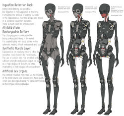 Rule 34 | absurdres, android, character sheet, english text, highres, mechanical parts, original, rob 110101101, simple background, skeleton, solo, translated, white background