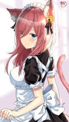 Rule 34 | 1girl, akino ell, animal ears, apron, bell, black dress, black ribbon, blue eyes, blush, breasts, cat ears, cat girl, cat tail, clothes lift, commentary request, dress, dress lift, go-toubun no hanayome, hair bell, hair ornament, hairband, highres, large breasts, maid, maid apron, maid headdress, nakano miku, puffy short sleeves, puffy sleeves, ribbon, short sleeves, signature, smile, solo, tail, white apron, white hairband