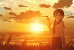 Rule 34 | 1girl, black eyes, blouse, brown hair, bug, closed mouth, cloud, cloudy sky, cowboy shot, dragonfly, eyebrows, grass, hair ornament, hair over shoulder, highres, insect, key kun, long sleeves, looking at viewer, nature, neckerchief, original, outdoors, pleated skirt, school uniform, serafuku, shirt, skirt, sky, smile, solo, standing, sun, sunlight, twilight, twintails, white shirt