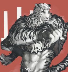 Rule 34 | 1boy, abs, animal ears, arknights, bara, black gloves, black tank top, bounsies, chain, chain necklace, chest hair, fingerless gloves, furry, furry male, gloves, highres, jewelry, looking to the side, male focus, midriff, mountain (arknights), muscular, navel, navel hair, necklace, scar, scar across eye, scar on face, short hair, simple background, solo, tail, tank top, tiger boy, tiger ears, tiger stripes, tiger tail, undressing, upper body, white fur, white hair