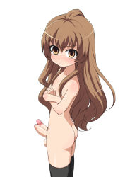 Rule 34 | 1girl, aisaka taiga, ass, back, bad id, bad pixiv id, breasts, brown eyes, brown hair, censored, convenient censoring, crossed arms, erection, ereraero, extra penises, foreskin, futanari, long hair, looking at viewer, looking back, looking up, multiple penises, nude, penis, phimosis, retracted foreskin, simple background, solo, standing, testicles, thighhighs, toradora!, uncensored, white background