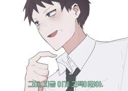 Rule 34 | 1boy, :d, brown hair, cheong (nept1211), collared shirt, danganronpa (series), danganronpa 2: goodbye despair, from side, green necktie, grey shirt, hand up, hinata hajime, male focus, necktie, open mouth, shirt, short hair, simple background, smile, solo, teeth, upper teeth only, white background